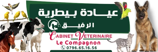 AF1QipMRDEawrjlDtNnLxwn8dgOSP3kPaGQgBPPnvWYVw1920-h1080-k-no.webp
