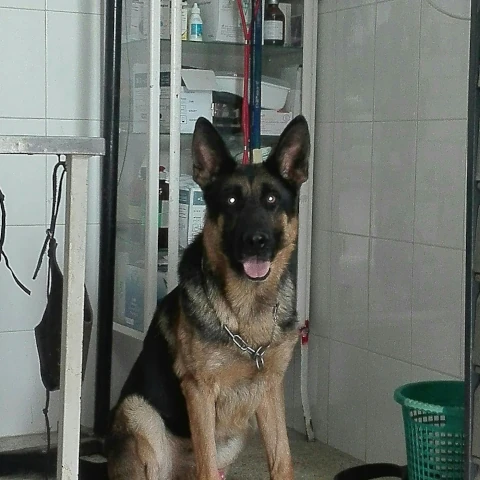 AF1QipMX_ZOXze_CIFi5s1lgHabFDxCCPJ6k0XMp56b0w1920-h1080-k-no.webp
