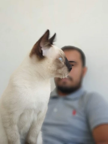 AF1QipMrlgnnwktoOi0r60qSlrdwpGEc8o78OfYzcWqlw1920-h1080-k-no.webp