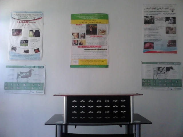 AF1QipMv9B41LCriFt-joTnC9ChGAynK0l2JnssY_VkOw1920-h1080-k-no.webp