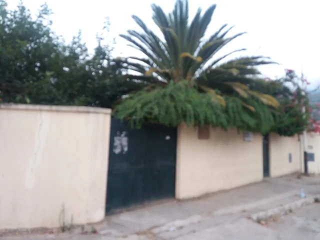 AF1QipMzBCaG16sf9j_4pxkQRQXoGGRgMdmt_tYAZGCOw1920-h1080-k-no.webp