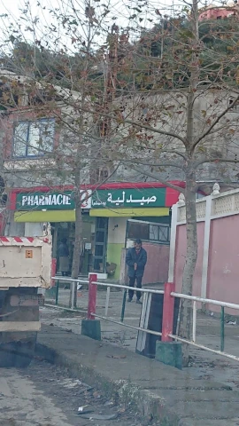 A BOUKHEMKHEM