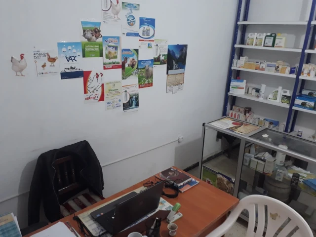 AF1QipN642uK6OKdlZ0EOZVMpxV6H9BSqFC-OGyyU5xqw1920-h1080-k-no.webp