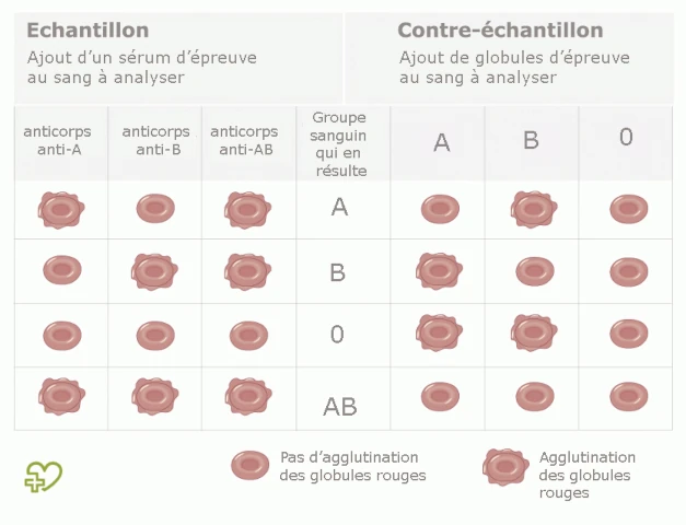 AF1QipNMnNGtSpNXo63GEUBmfdrN6MAXFQOJqFOhXmoIw1920-h1080-k-no.webp