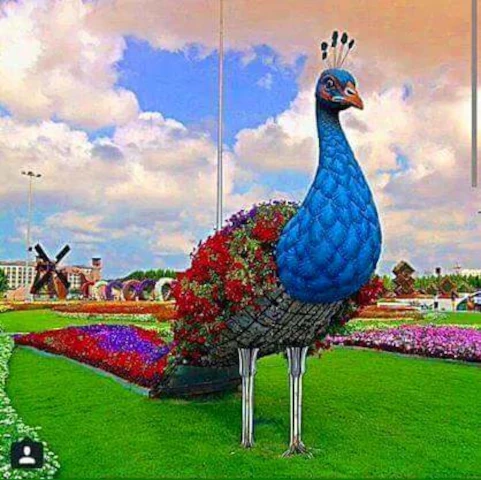 AF1QipNUNf40FtIwf8DSr9MALs5uQOQEbzsQCRB67v-ew1920-h1080-k-no.webp