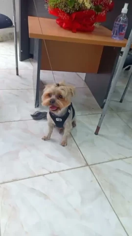 AF1QipNyGavFKbMibZwQkzj1ewWyOUjY_ZONlSiTwQtbw1920-h1080-k-no.webp