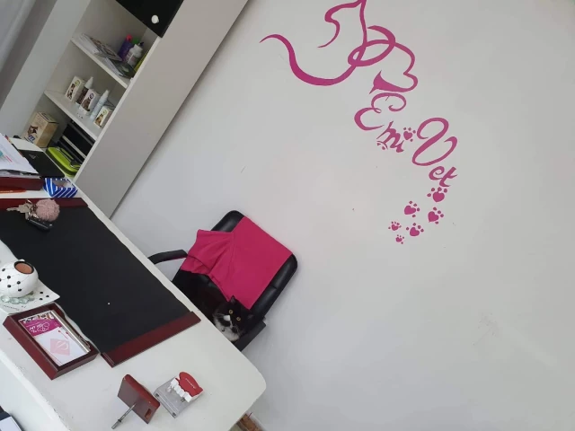 AF1QipO-BDZ24OLOhuQhjOOUfFweDn0NTEH8vIAZQLXSw1920-h1080-k-no.webp
