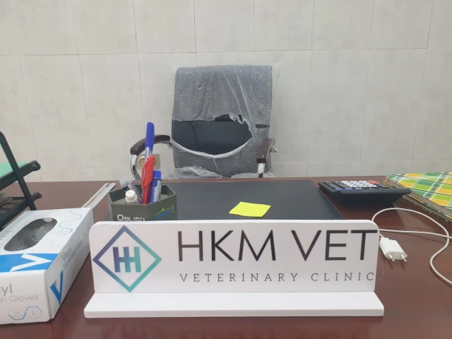 AF1QipO-XJ70SegTKZBDSxn7KaLWPkHkjJiXlV9Px1Rhw1920-h1080-k-no.webp