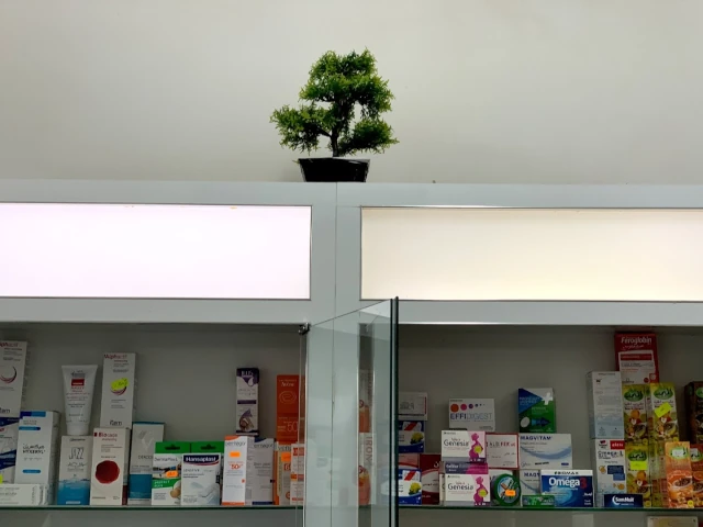 Galerie H BEN HAMMADI