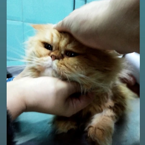 AF1QipOuWjPapj56dPAXnkTGMjaWdlrvcxEGZNvLSs2aw1920-h1080-k-no.webp
