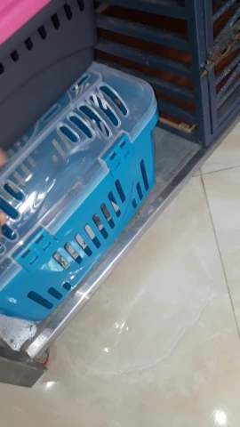 AF1QipP6Lu_5YlAXY-F1XGy-ibWQC6_gNL1LH2AOUPvWw1920-h1080-k-no.webp