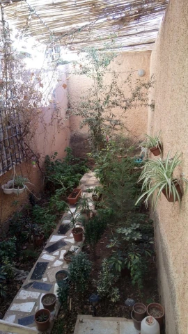 ABOUBAKR SEDDIK BERBAR