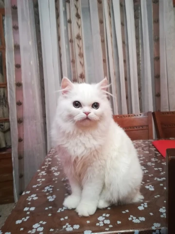 AF1QipPK74rwoEb_I9enF9GF0Am_fxZLl4F8QyLR0WqWw1920-h1080-k-no.webp