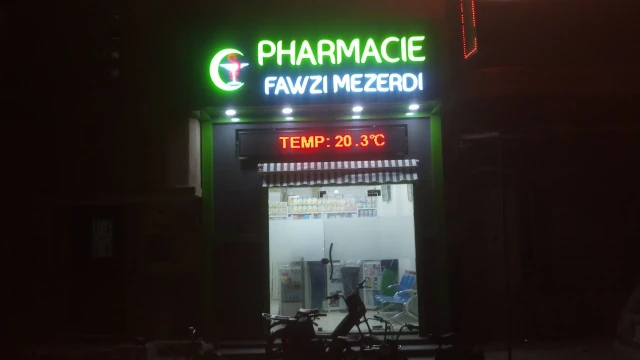 FAWZI MEZERDI