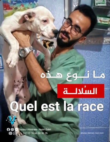AF1QipPMABNBaIcRkbsEMV3kWBPXELPUBc8S4dlIYHwzw1920-h1080-k-no.webp