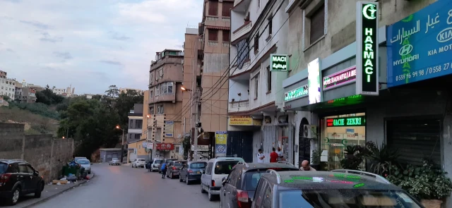 SOUHILA ZEKRI  GAYA