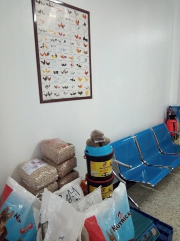AF1QipPvDWBiRpTp_UKiHEZxJflGDtZLsCFBsqwaT9CIw1920-h1080-k-no.webp