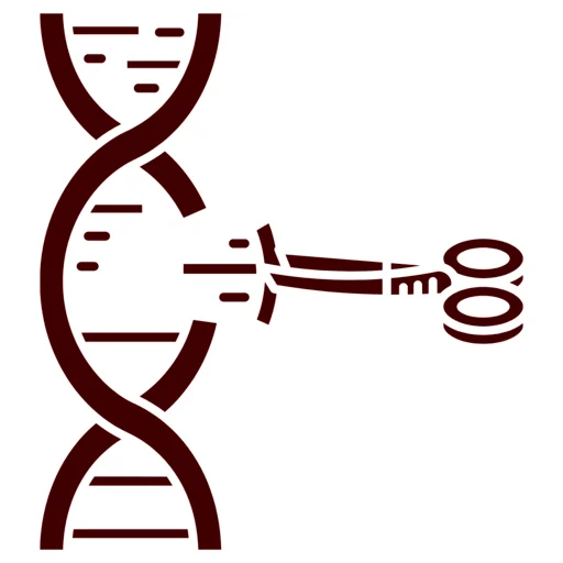 Enzymologie_20230518_102539_0003.webp