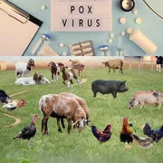 variole-autres-que-ceux-listes-par-lomsa