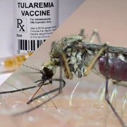 tularemie