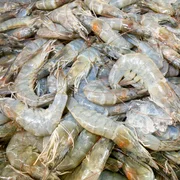 syndrome-des-taches-blanches