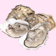 marteiliose-m-refringens