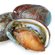 ganglionevrite-virale-des-ormeaux