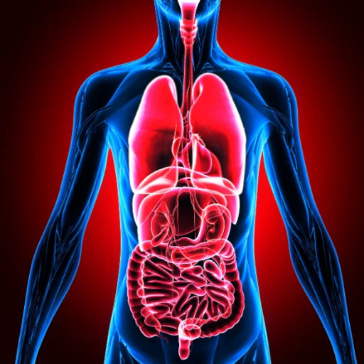 hypertension-portale