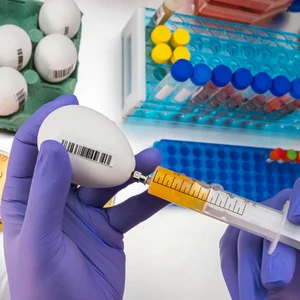 paramyxoviroses-aviaires