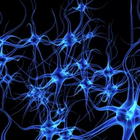 maladie-du-motoneurone