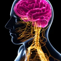 maladies-degeneratives-du-systeme-nerveux