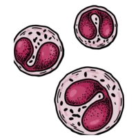 granulome-eosinophile