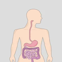hemorragie-digestive-haute-saignement-de-loesophage-de-lestomac-ou-du-duodenum