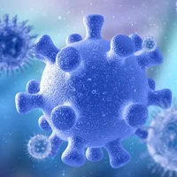 infection-par-le-virus-de-marburg
