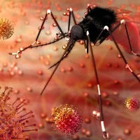infection-par-le-virus-zika