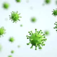 infections-a-meningocoque