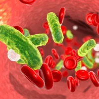 infections-a-salmonella