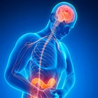 lymphangiectasie-intestinale