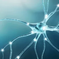 neuropathies-hereditaires