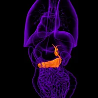 tumeurs-de-la-vesicule-biliaire-et-des-voies-biliaires